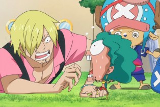 ONE PIECE SEASON 10 HULU REVIEW